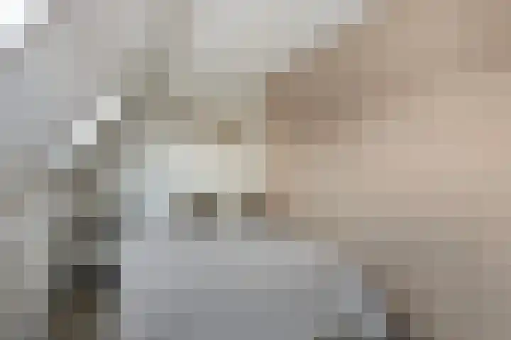 Brouwerij 12 Alkmaar thumbnail 12