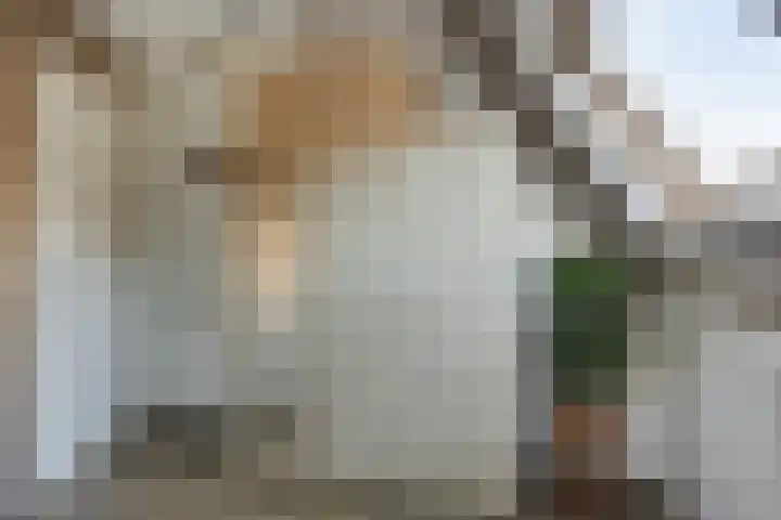 Brouwerij 12 Alkmaar thumbnail 13