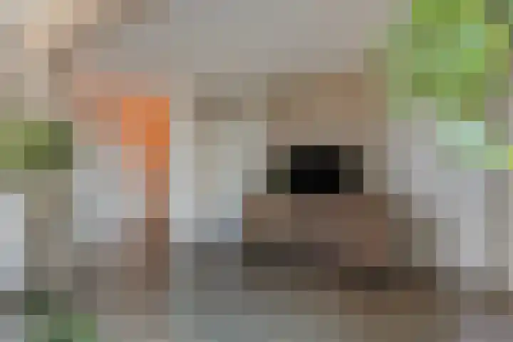 Brouwerij 12 Alkmaar thumbnail 5