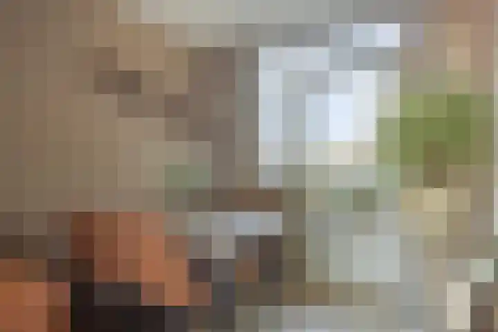 Brouwerij 12 Alkmaar thumbnail 6