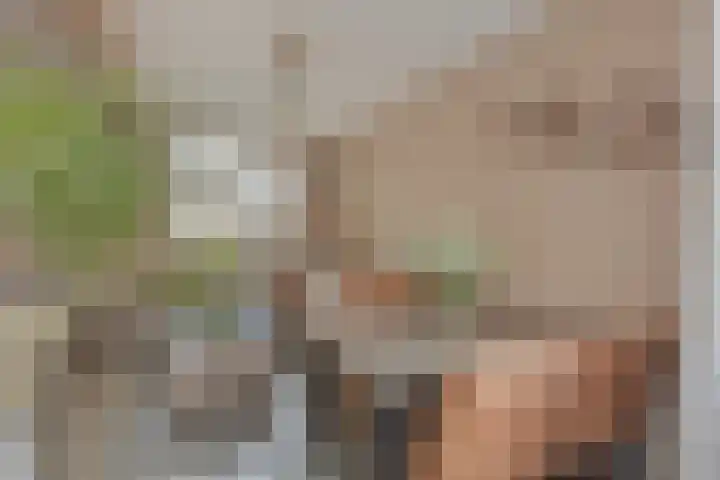 Brouwerij 12 Alkmaar thumbnail 7