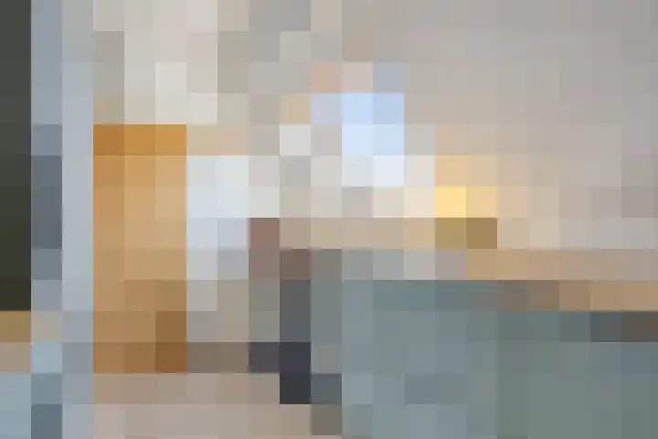 Brouwerij 13 Alkmaar thumbnail 15
