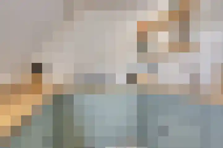 Brouwerij 13 Alkmaar thumbnail 18