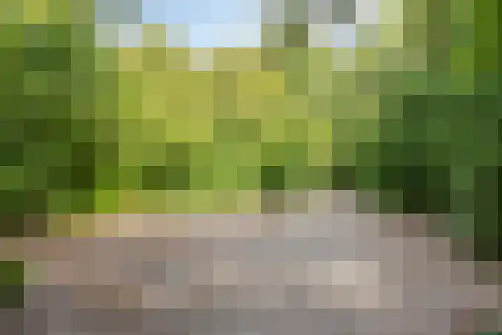 Brouwerij 13 Alkmaar thumbnail 30