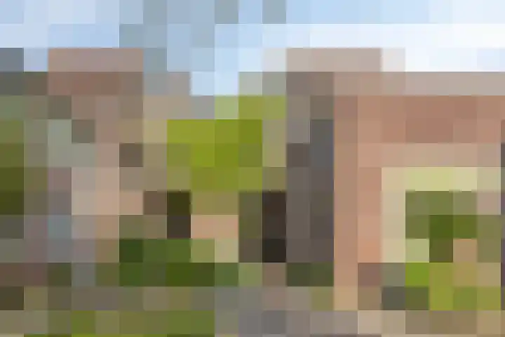 Brouwerij 13 Alkmaar thumbnail 5