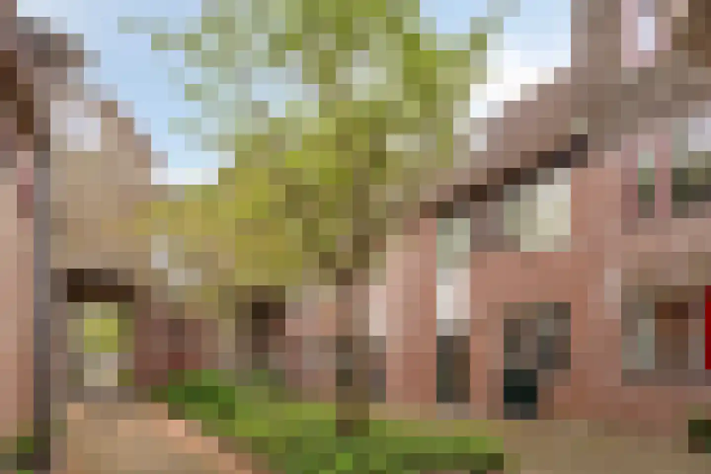 Brouwerij 16 Alkmaar thumbnail 15