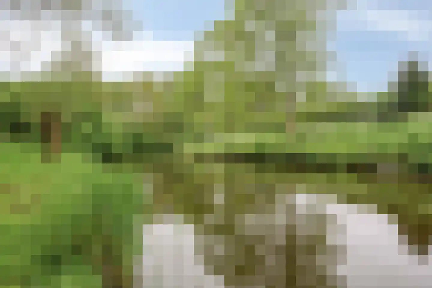 Brouwerij 16 Alkmaar thumbnail 19