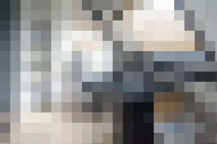 Brouwerij 27 Alkmaar thumbnail 12