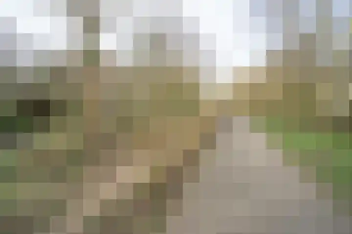 Brouwerij 27 Alkmaar thumbnail 21