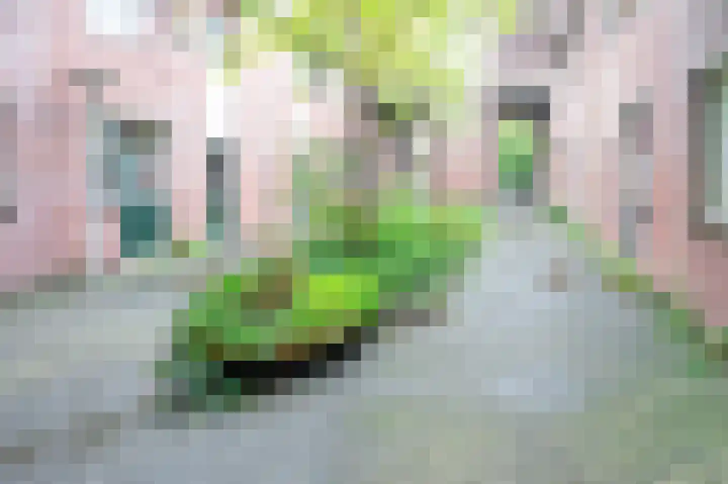 Brouwerij 27 Alkmaar thumbnail 24