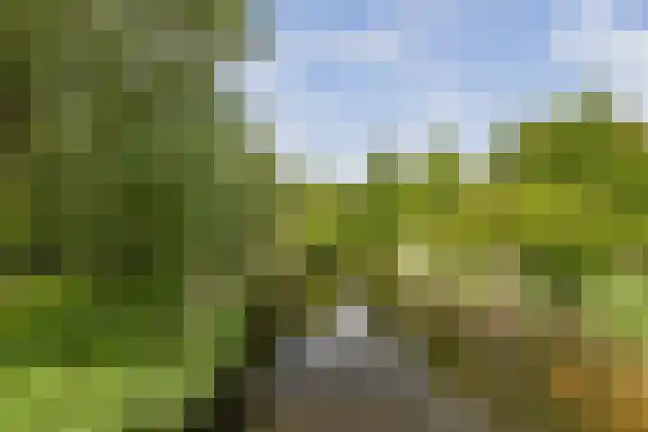 Brouwerij 34 Alkmaar thumbnail 30