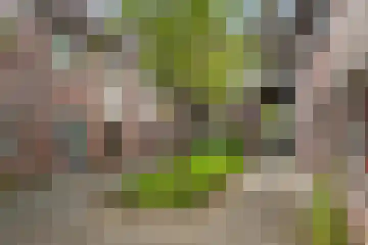 Brouwerij 34 Alkmaar thumbnail 4