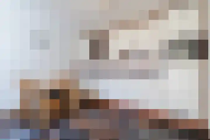 Brouwerij Maeshof 3 Stramproy foto 3