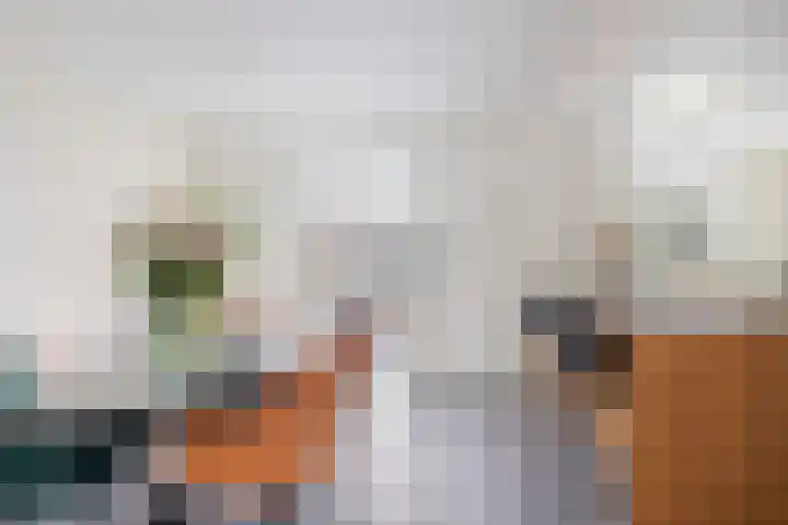 Brouwerijdreef 39 Valkenswaard thumbnail 10