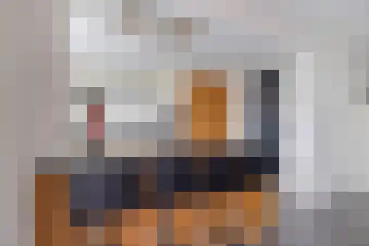 Brouwerijdreef 39 Valkenswaard thumbnail 12