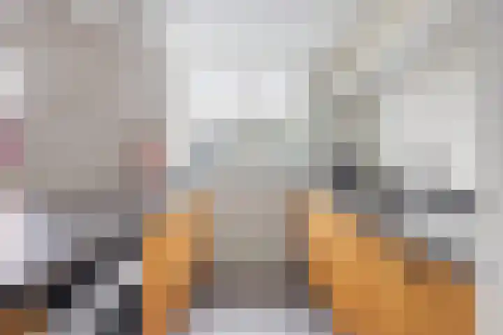 Brouwerijdreef 39 Valkenswaard thumbnail 13