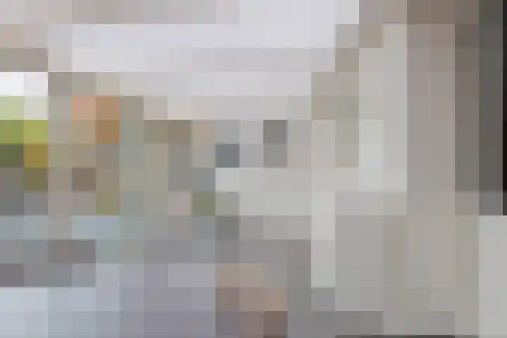 Brouwerijdreef 39 Valkenswaard thumbnail 16