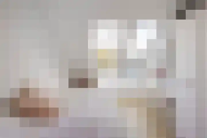 Brouwerijdreef 39 Valkenswaard thumbnail 24