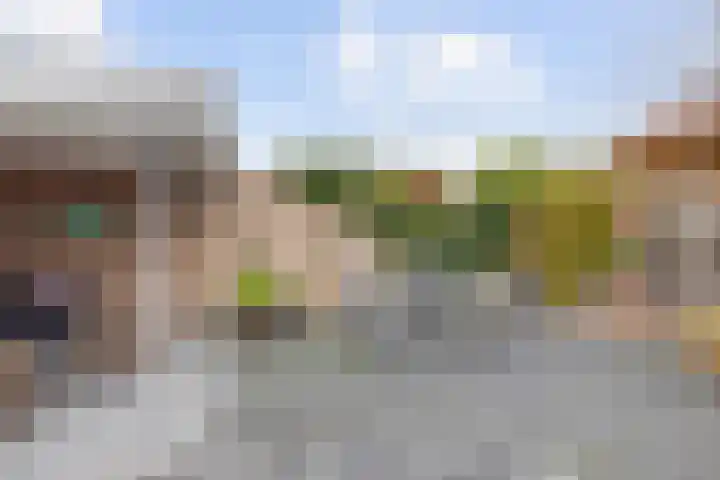 Brouwerijdreef 39 Valkenswaard thumbnail 31