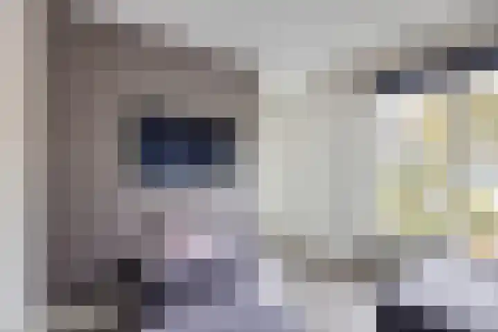 Brouwerijdreef 39 Valkenswaard thumbnail 5