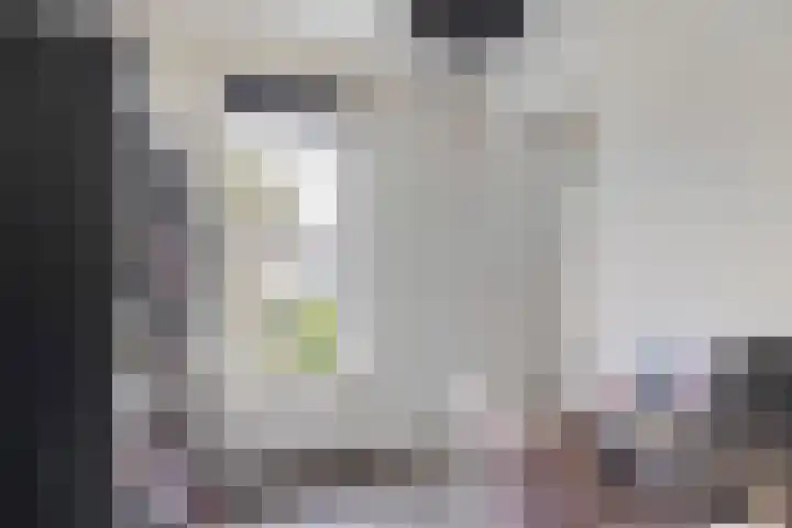 Brouwerijdreef 39 Valkenswaard thumbnail 7
