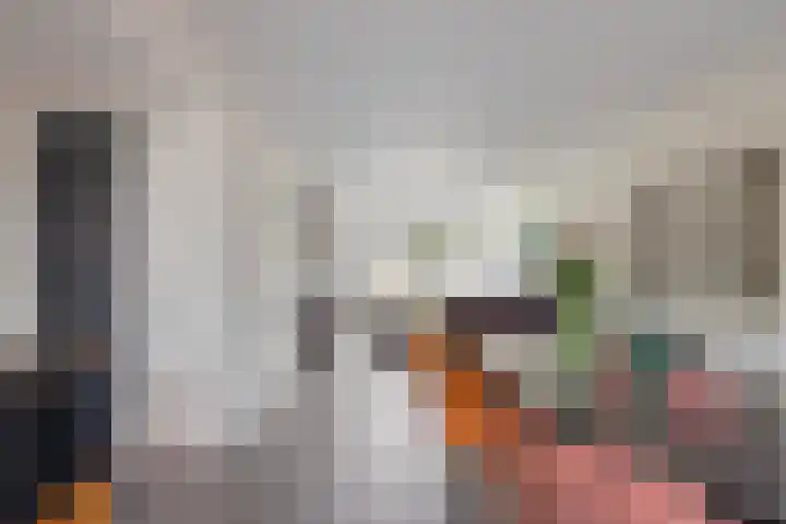 Brouwerijdreef 39 Valkenswaard thumbnail 8