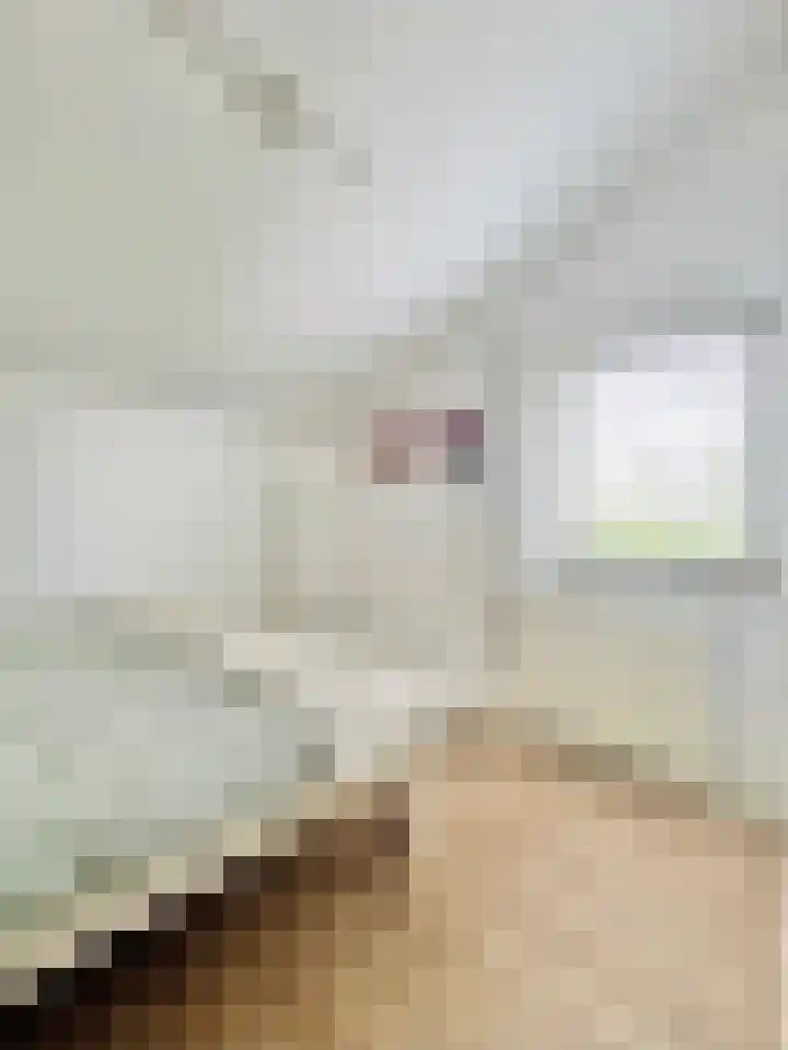 Brouwerijdreef 6 Valkenswaard thumbnail 22