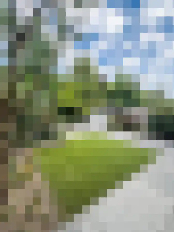 Brouwerijdreef 6 Valkenswaard thumbnail 32