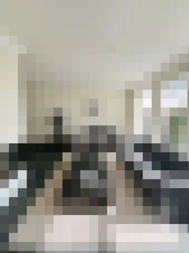 Brouwerijdreef 6 Valkenswaard thumbnail 5