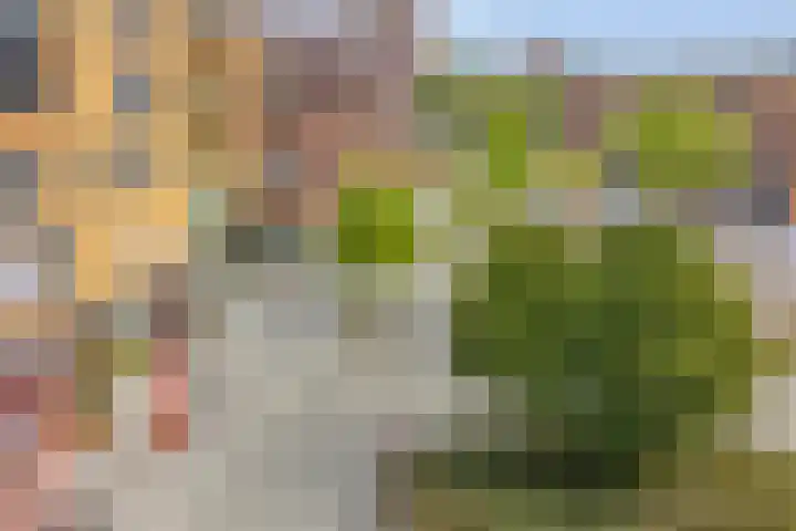 Brouwerijplein 20 31 Enschede thumbnail 32