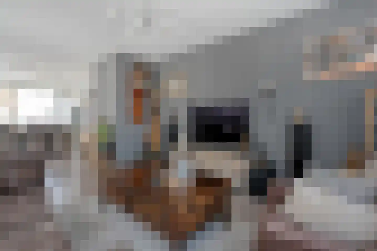 Brouwerijplein 20 51 Enschede thumbnail 18