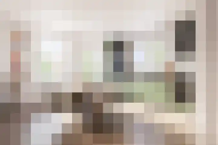Brouwerijstraat 10 b Noordgouwe thumbnail 4