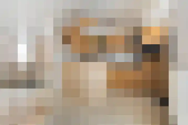 Brouwerijstraat 10 Kloosterzande thumbnail 12