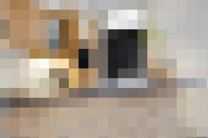 Brouwerijstraat 10 Kloosterzande thumbnail 15
