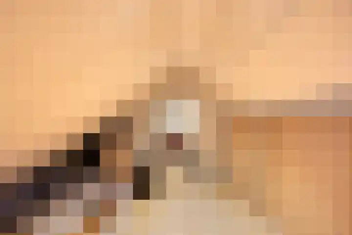 Brouwerijstraat 10 Kloosterzande thumbnail 25