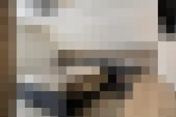 Brouwerijstraat 10 Kloosterzande thumbnail 4