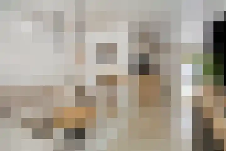 Brouwerijstraat 10 Kloosterzande thumbnail 9