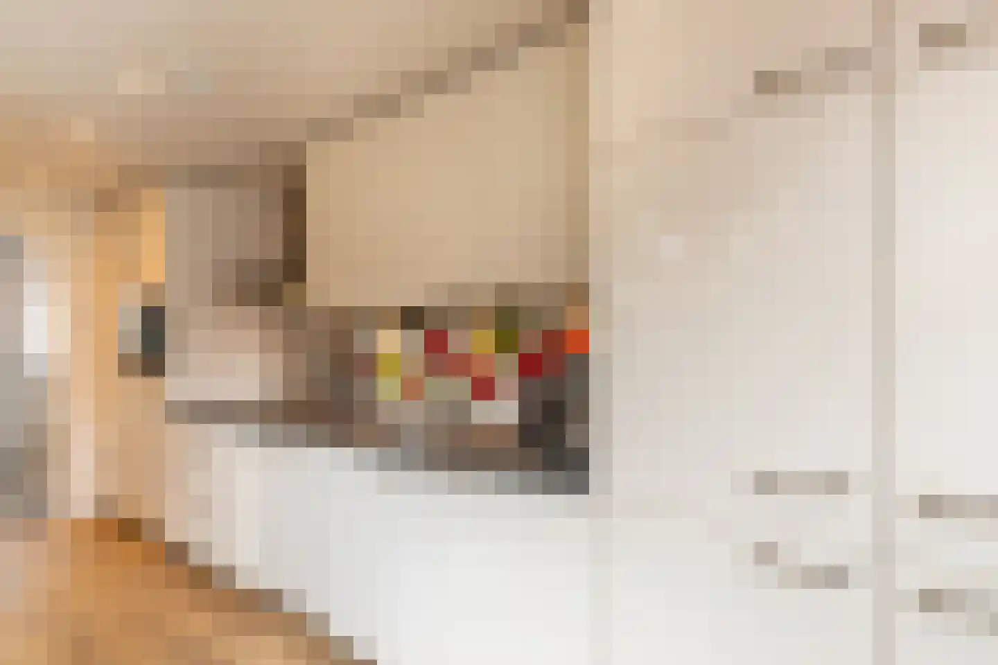 Brouwerijstraat 10 Koudekerke thumbnail 8