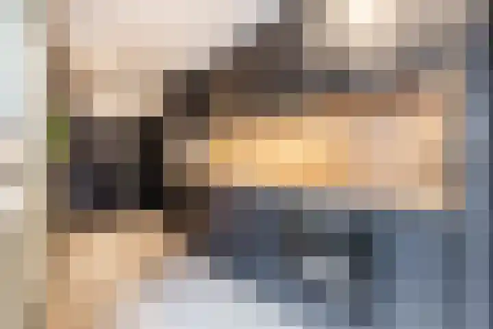 Brouwerijstraat 11 Oudenbosch thumbnail 19