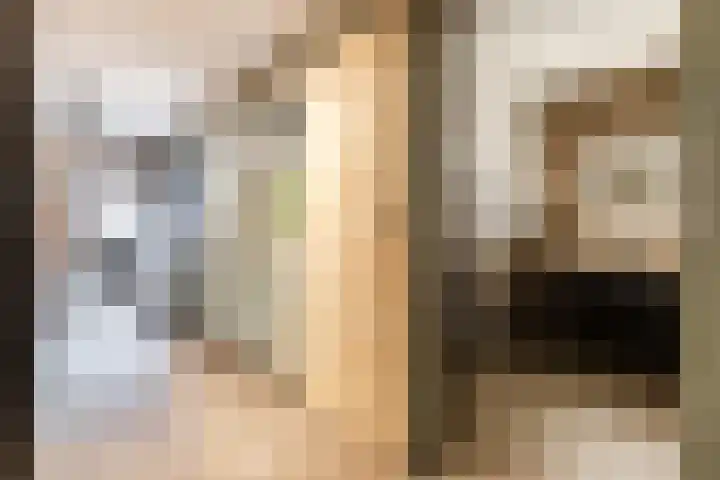 Brouwerijstraat 11 Oudenbosch thumbnail 21