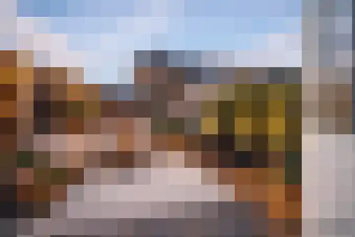 Brouwerijstraat 11 Oudenbosch thumbnail 34