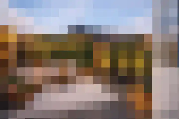 Brouwerijstraat 11 Oudenbosch thumbnail 36