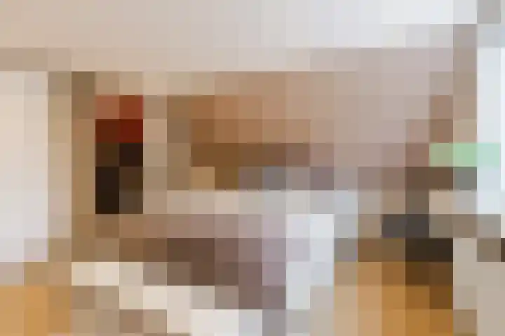 Brouwerijstraat 11 Oudenbosch thumbnail 4
