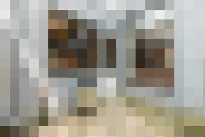 Brouwerijstraat 11 Oudenbosch thumbnail 41