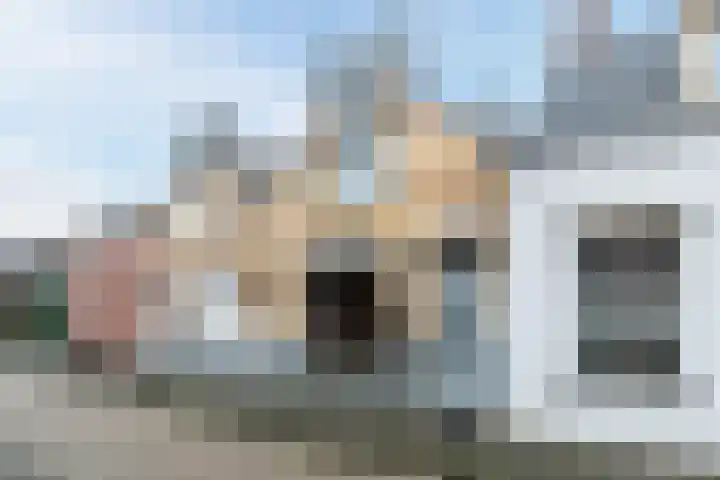 Brouwerijstraat 11 Oudenbosch thumbnail 6