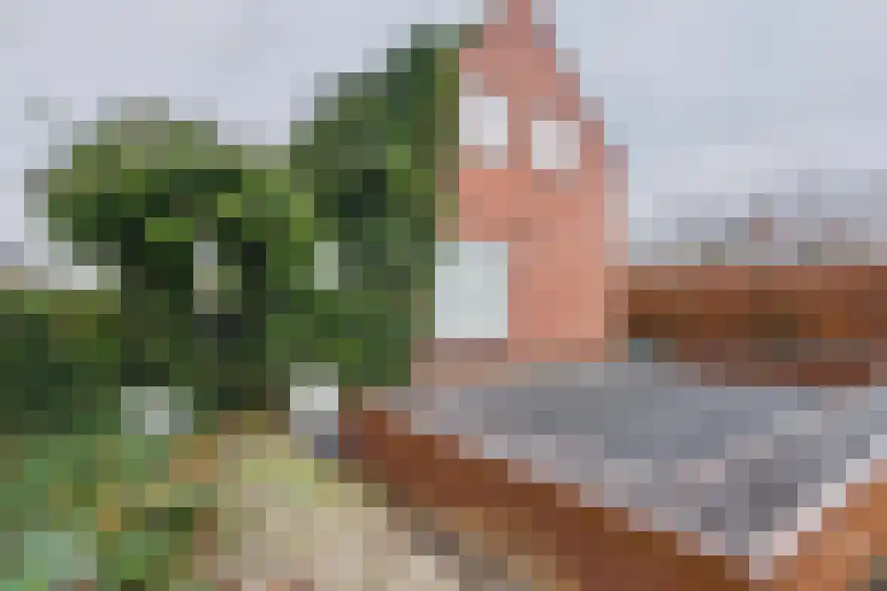 Brouwerijstraat 118 Kapellebrug thumbnail 5