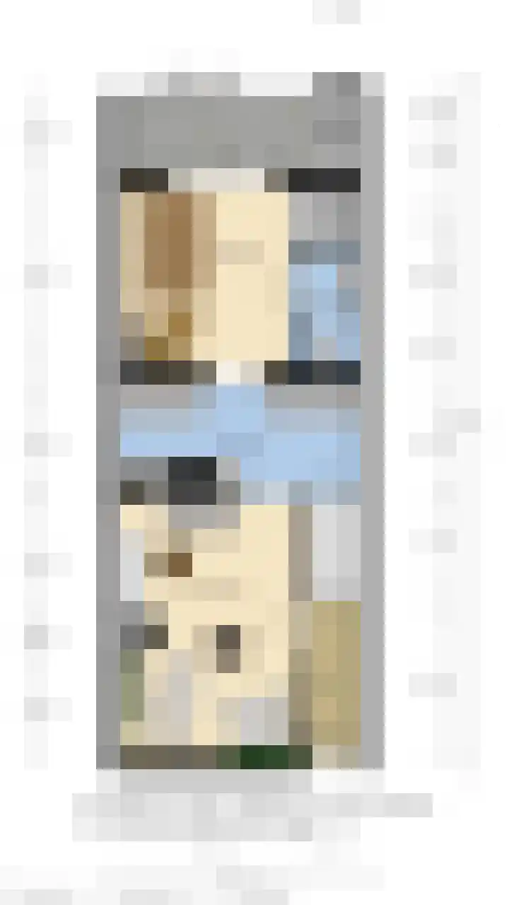 Brouwerijstraat 14 Groede thumbnail 54
