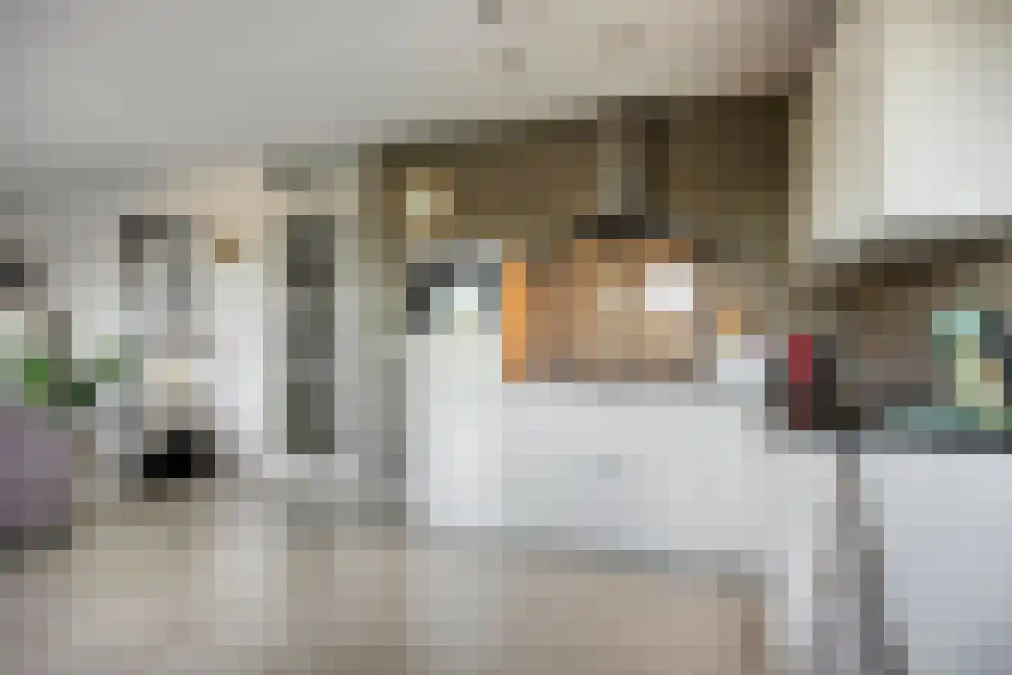 Brouwerijstraat 14 Rosmalen thumbnail 14