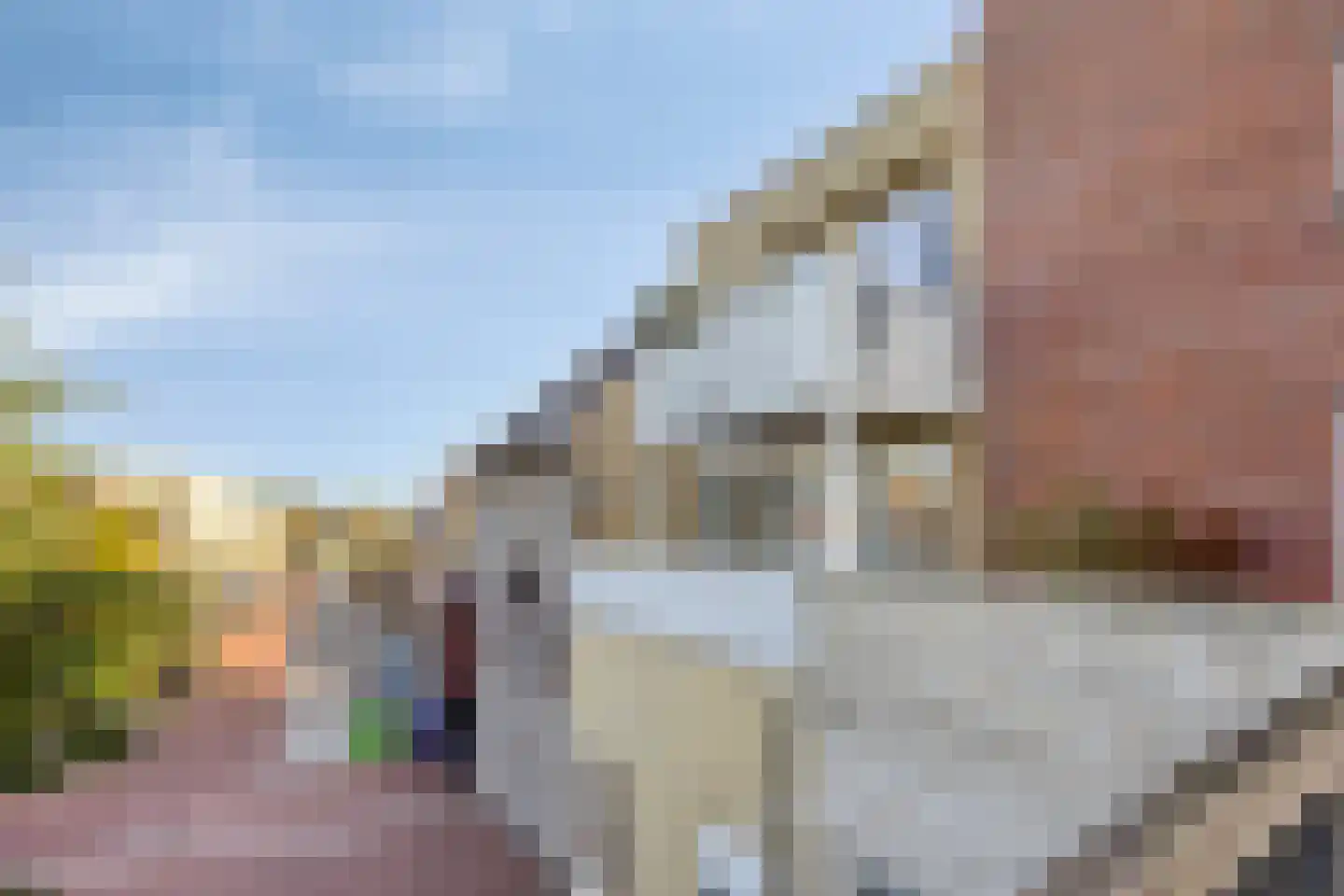 Brouwerijstraat 14 Rosmalen thumbnail 30