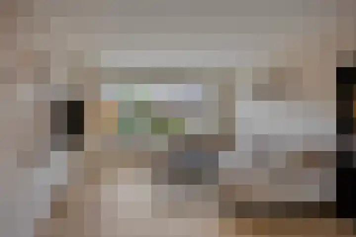 Brouwerijstraat 15 Epe foto 2